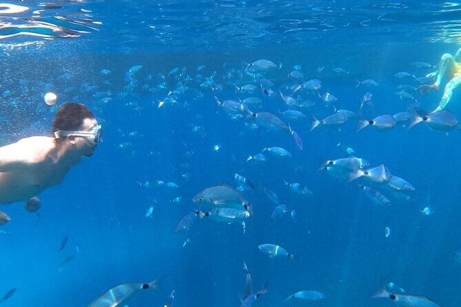 3-Hour Northwest Coast Excursion: Aquarium and Islas Margaritas - Aquarium Cap Blanc (Sa Cova de Ses Llagostes): the cave aquarium stop