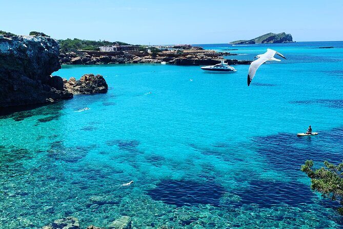 3h Private Cruise + Drinks, Snorkel & Paddle - What you actually do: snorkeling, SUP, kayak, and calm timing