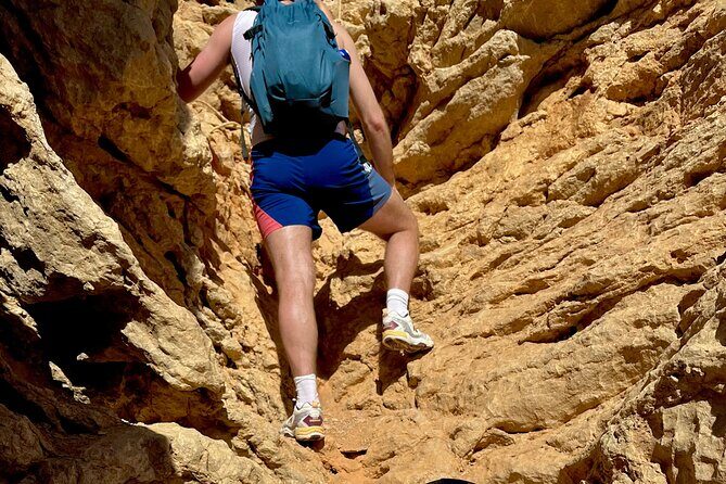 4 hour hiking in Ibiza-DIH Hike with us.Connect with nature! - Key highlights you’ll actually care about