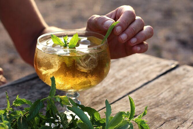 Aromatic Experience in the Medicinal Garden in Ibiza - Key highlights before you go