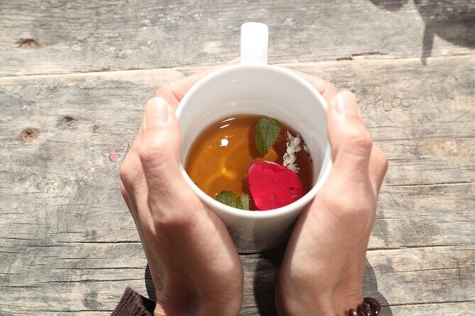 Aromatic Experience in the Medicinal Garden in Ibiza - Organic infusions: hot in winter, fresh in summer