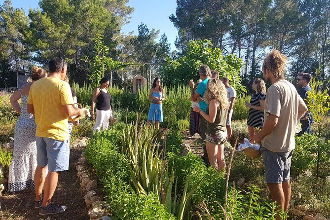 Aromatic Experience in the Medicinal Garden in Ibiza - Your 5 senses get the main role, not your phone