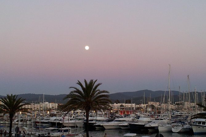 Cafe del Mar Private Boat Trip - Set Sail From Sant Antoni: timing and meeting point that matter