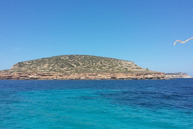 Cala Comte Private Catamaran Tour - Captains and crew: why the vibe is so often praised