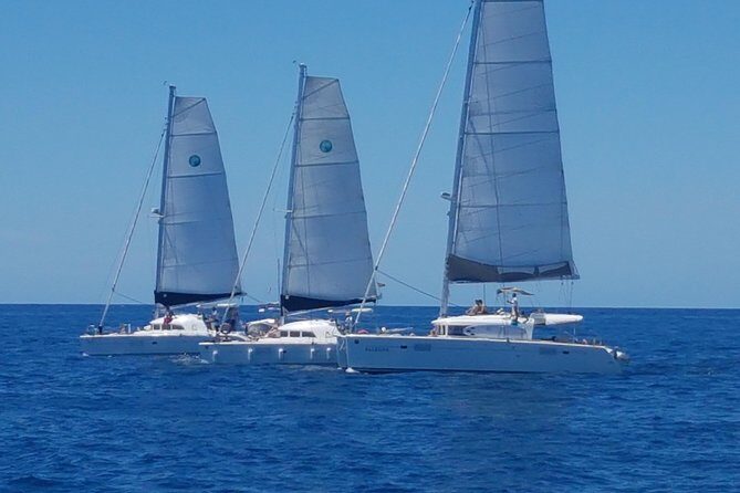 Cala d'Hort Sailing Adventure - Private Catamaran Departure in Ibiza: How the 10:00 Meeting Works