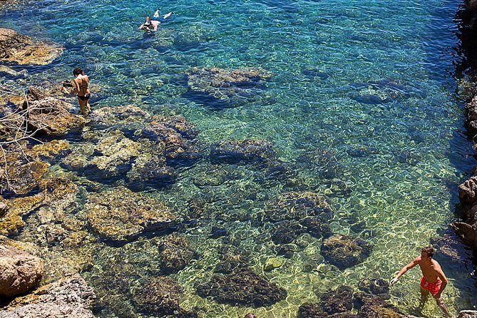 Cala Salada and Unspoiled North Beach Tour. Snorkelling and Aquarium - Ses Balandres (Cala d’Aubarca Area): Your Main Swim-and-Snorkel Hour