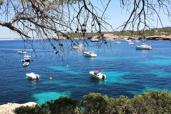 Discover Cala Bassa and Cala Comte on board a catamaran - Paddle Surf Included: A Fun Add-On, Not Just a Checkbox