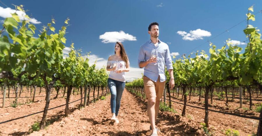 Discover the Essence of Ibiza’s rich wine culture - Price and value: what $74 buys you in real terms
