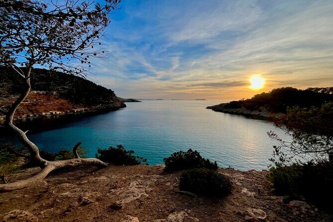 Excursion to Cala Salada, Punta Galera and Cala Saladeta paddle surf - Fitness, Comfort, and What to Expect If It’s Your First Time