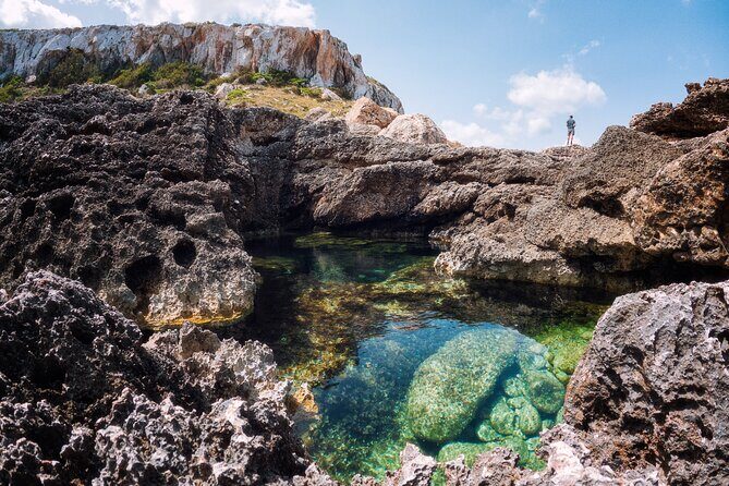 Explore Secret Ibiza: Guided Hiking Tours with Local Experts - Price and Value: What $184.78 Buys You