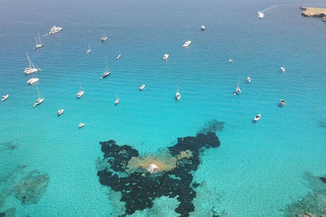 Explore the Beautifull seaside of Formentera. Incl cava, drinks, snacks, .. - Who this sailing day is perfect for