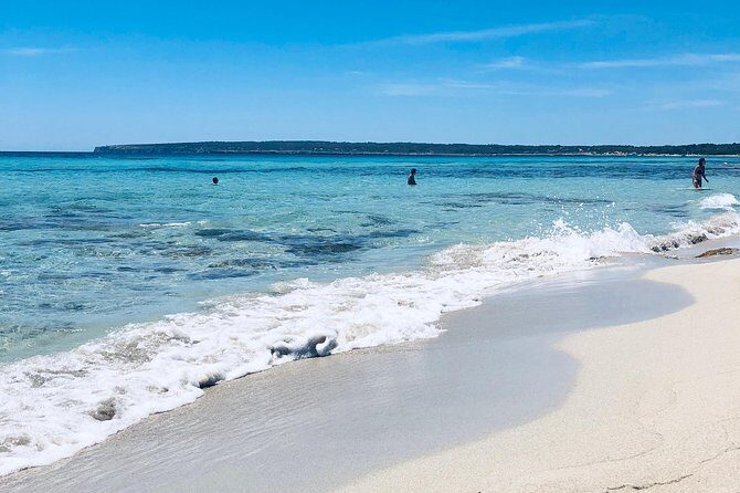 Formentera Small-Group Day Trip by Sailboat from Ibiza - Price and value: is $162.55 a fair deal?