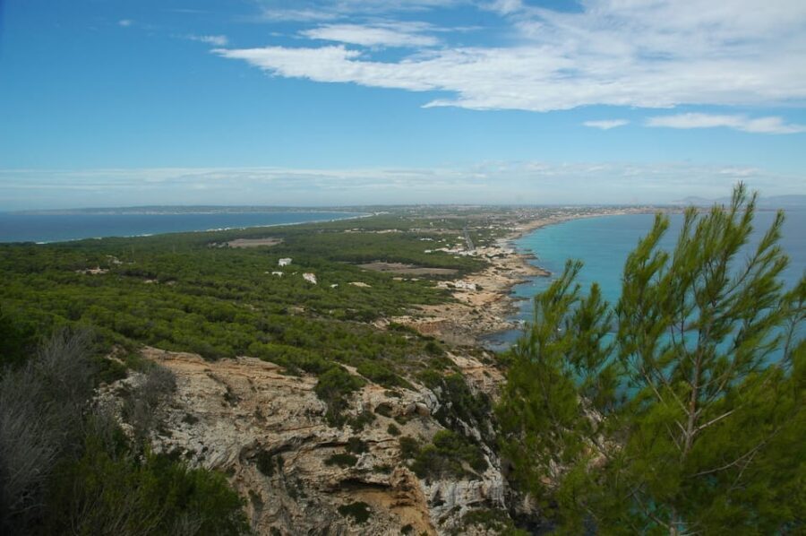 From Ibiza: Ferry and Guided Bus Excursion in Formentera - Key highlights worth marking on your map