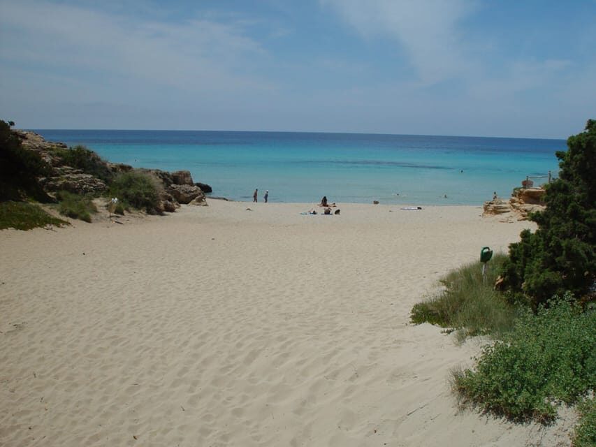 From Ibiza: Ferry and Guided Bus Excursion in Formentera - Es Pujols and/or Mitjorn beach time: where the tour lets you breathe