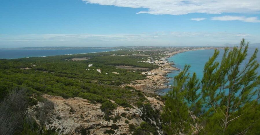 From Ibiza: Ferry and Guided Bus Excursion in Formentera - Getting picked up: where the time can quietly grow