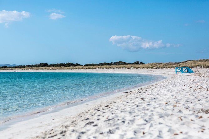 Full-Day Private Ibiza and Formentera Charter Cruise - The 10:00 Start From Ibiza Town: Your Day’s Pace and Flow