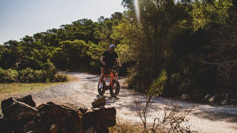 Guided E-Bike Tour Ibiza - Key highlights I’d prioritize