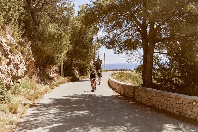 Guided Ebike Tour in Ibiza - Price and Value: $119.21 for a Half-Day That Actually Adds Up