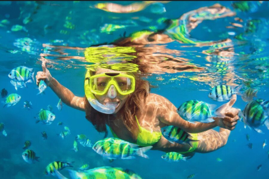 Ibiza: Beach and Cave Snorkeling Tour by Boat - The Party Island Moment: Music, Drinks, and Dancing