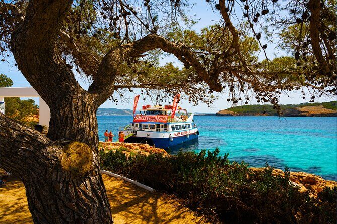 Ibiza Beach Hopping Cruise with Paddleboards, Drinks and Food 6h - The roomy feel: half-capacity rules and how the boat is set up
