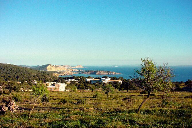 Ibiza Beaches and Villages Private Tour - The guide and chauffeur effect (and how it shows up in real life)