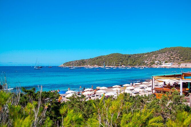 Ibiza Beaches and Villages Private Tour - Ses Salines salt ponds and bird time (plus a Phoenician twist)