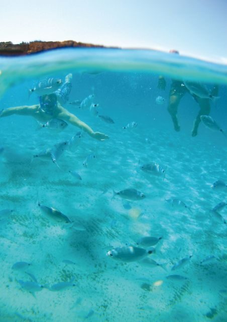 Ibiza: Classic Full or Half-Day Boat Charter - Key highlights at a glance