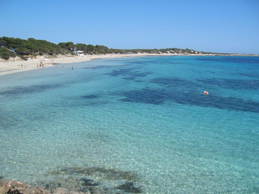 Ibiza: Full-Day Excursion and Visit to a Hippy Market - Languages and guide presence: you’ll get context without lectures