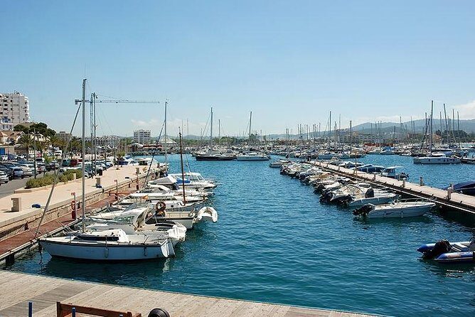Ibiza Island Tour: Punta Arabi Local Market - Ses Salines Natural Park: 40 minutes of Ibiza’s real outdoors