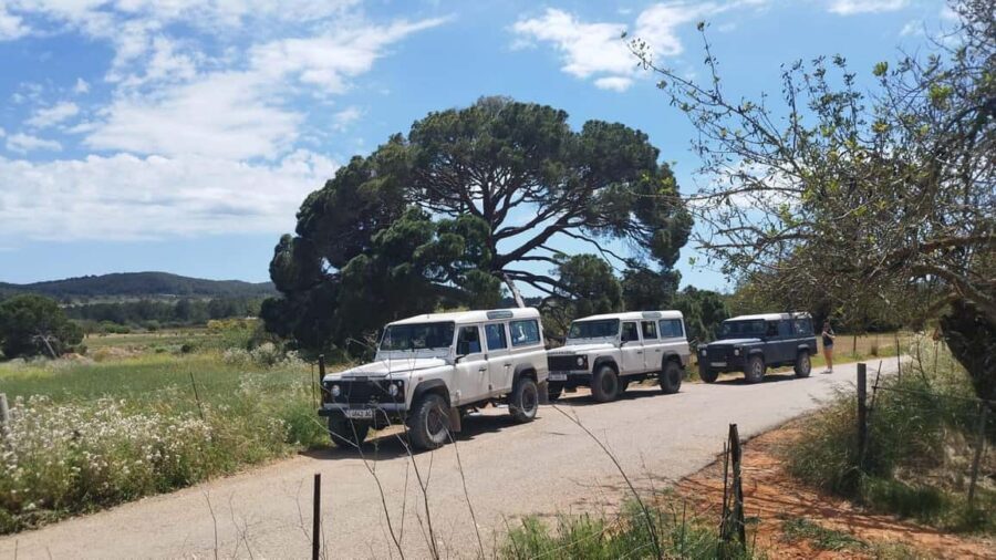 Ibiza: Jeep Safari Island Exploration - The beach stop and Mediterranean swim time