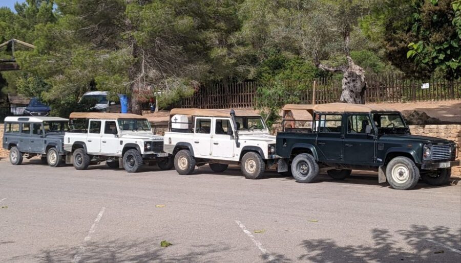 Ibiza: Jeep Safari Island Exploration - Pickup, pace, and what the ride feels like