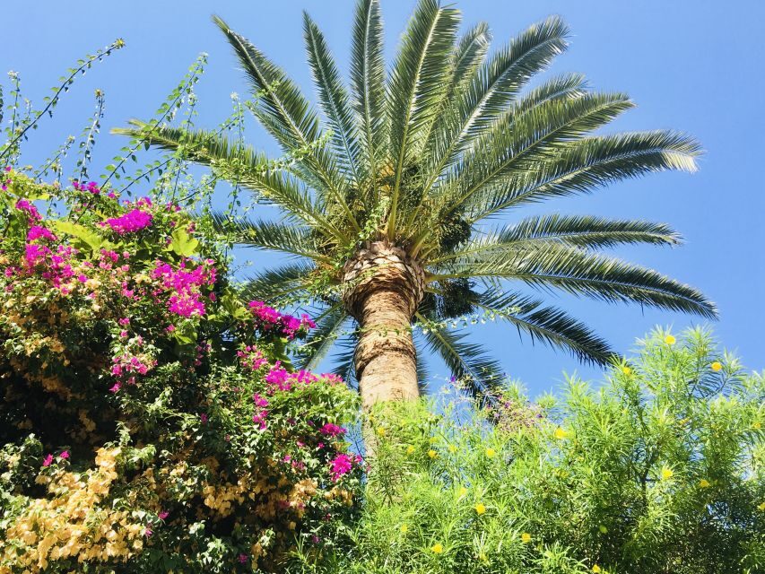 Ibiza: Old Town Guided Walking Tour - Key Highlights That Make This Tour Worth Your Time