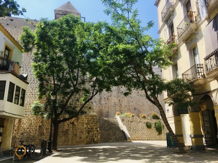 Ibiza: Old Town Guided Walking Tour - Walking the Old Town: Narrow Streets, Photo Stops, and Real Views