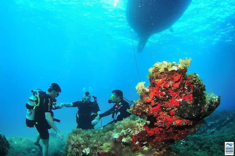 Ibiza Scuba Diving for Beginners and Snorkeling - The Medical Questionnaire and Safety Briefing Step