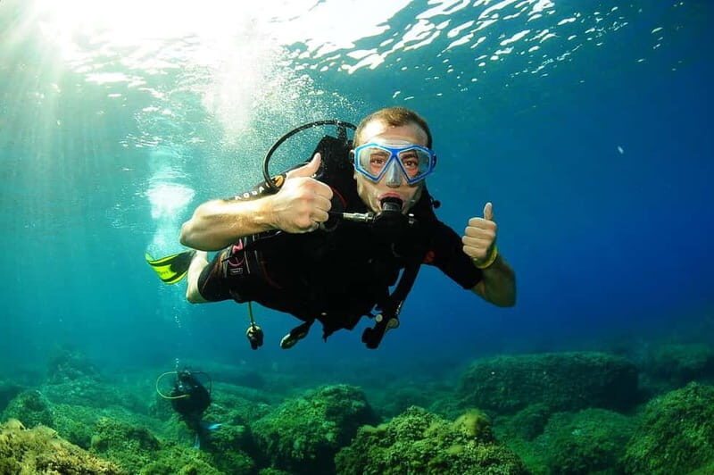 Ibiza Scuba Diving for Beginners and Snorkeling - House Reef Wildlife: What You Might See Off San Antonio