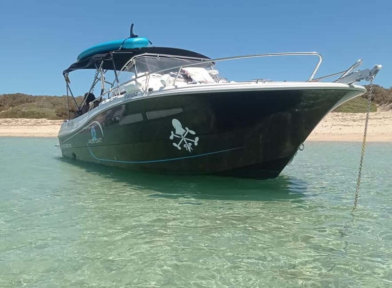 Ibiza: short "north of the island" tour from the sea in a private boat - Key highlights you’ll actually care about