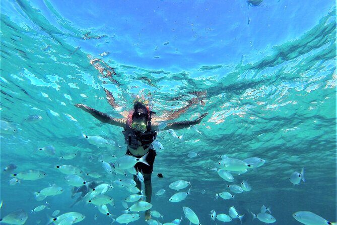 Ibiza Snorkeling Beach and Cave Tour - Key points before you go