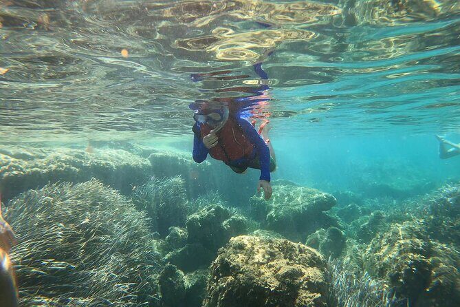 Kayak & Snorkel Ibiza, Spain - Safety Briefing First: Why This Tour’s Pacing Feels Comfortable