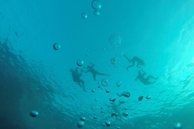 Kayak & Snorkel Ibiza, Spain - Snorkeling Reality Check: Short Stops, Mixed Visibility
