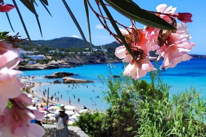 Private Boat Experience in Ibiza - What’s Included Onboard (Cool Box, WC, Snorkel Gear, Solárium)