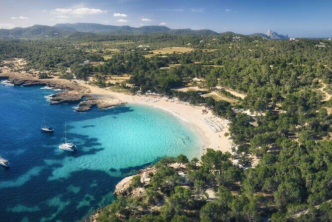 Private Boat Experience in Ibiza - Price and Value for Groups Up to 11