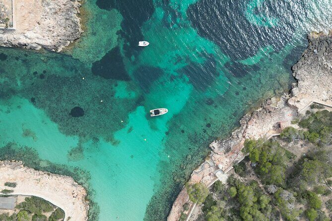 Private Boat Tour of San Antonio with Paddel surfing and Snorkeling - Water temperature reality check
