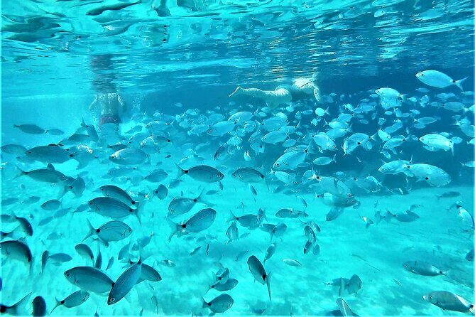 Private Hydro-Jet Snorkeling Beach and Cave Cruise Tour - Weather rules and sea-condition reality checks
