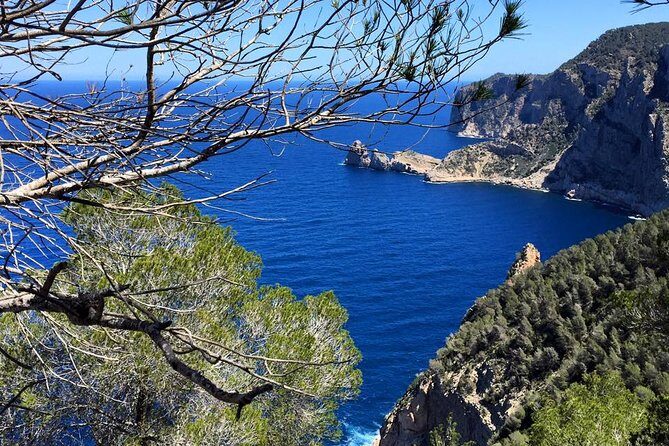 Private Walking & Hiking Experience Ibiza - Heaven’s Gate: Gentle Forest Shade and Big Coastal Viewpoints