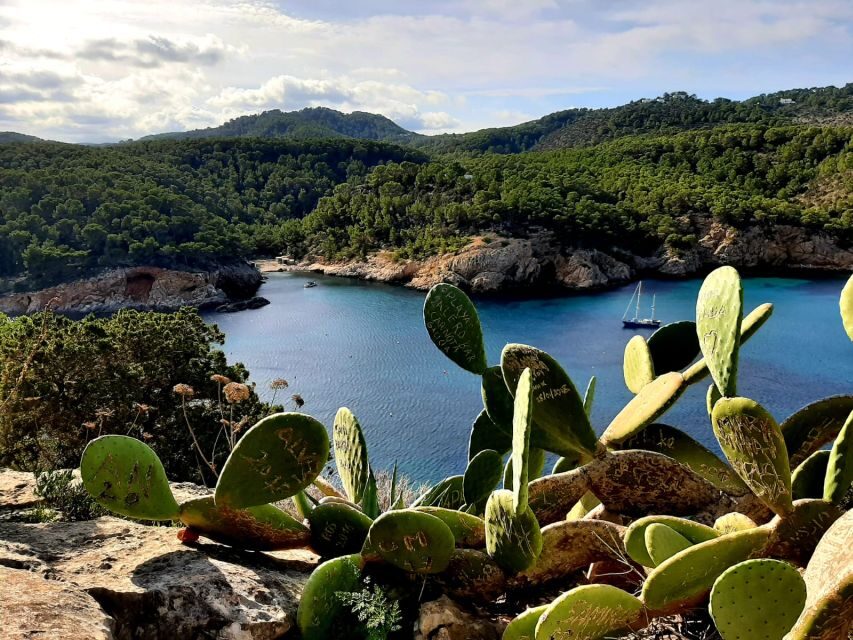 Puerto de San Miguel: Can Marçá Cave Guided Tour with Entry - Key things to know before you go