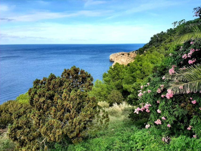 Puerto de San Miguel: Can Marçá Cave Guided Tour with Entry - The core of the tour: 100,000 years, smugglers, and formations you can actually picture