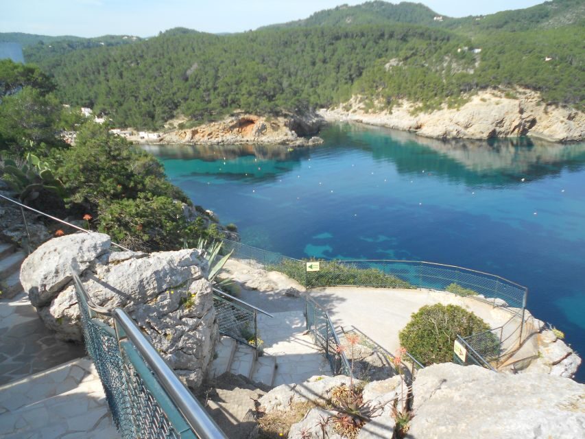 Puerto de San Miguel: Can Marçá Cave Guided Tour with Entry - Logistics you should plan for: meeting point and start times
