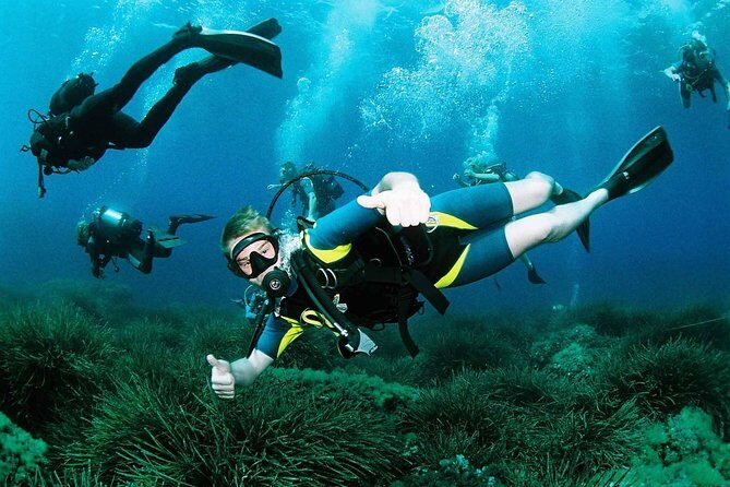 Scuba Diving Baptism and Snorkeling in Ibiza - Key Highlights You’ll Care About