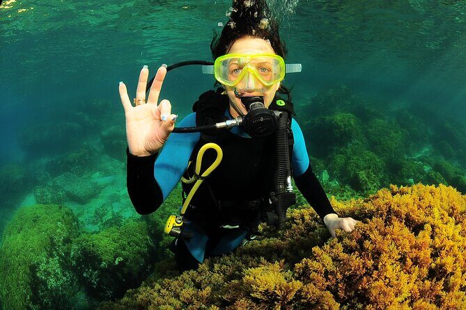 Scuba Diving Baptism and Snorkeling in Ibiza - What the experience feels like in real life