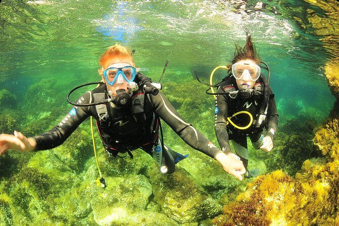 Scuba Diving Baptism and Snorkeling in Ibiza - The Underwater Route: wildlife, Posidonia, and what to watch for